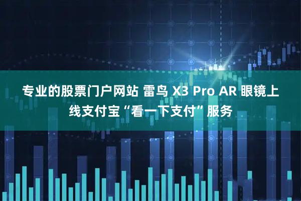 专业的股票门户网站 雷鸟 X3 Pro AR 眼镜上线支付宝“看一下支付”服务